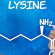 lysine3